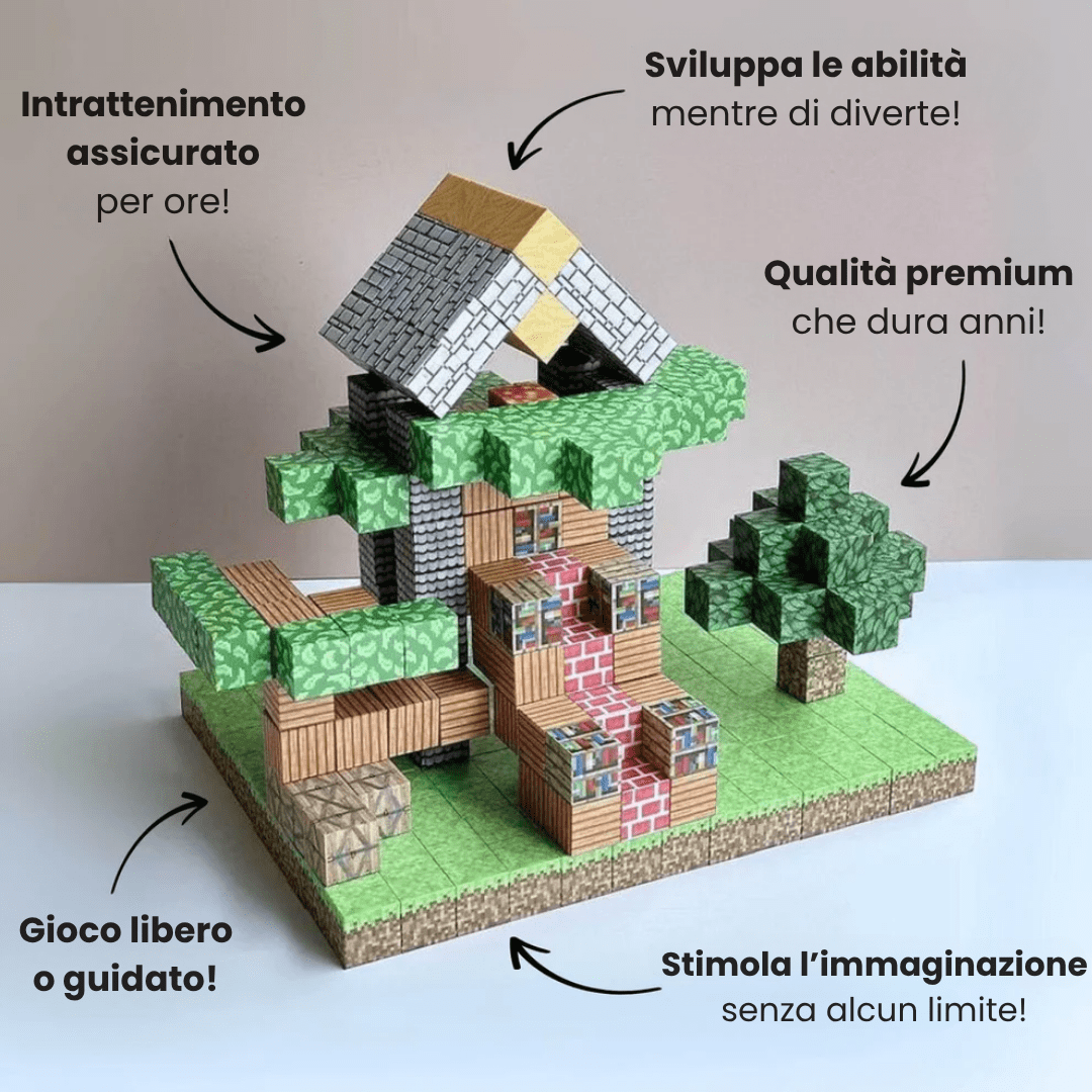 BLOCCHI MAGNETICI - PURO DIVERTIMENTO