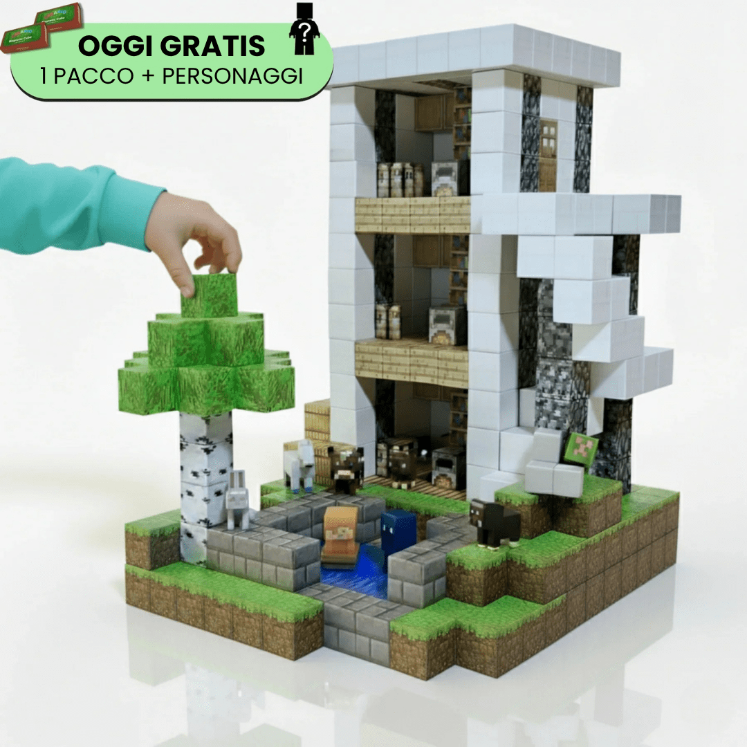 BLOCCHI MAGNETICI - PURO DIVERTIMENTO